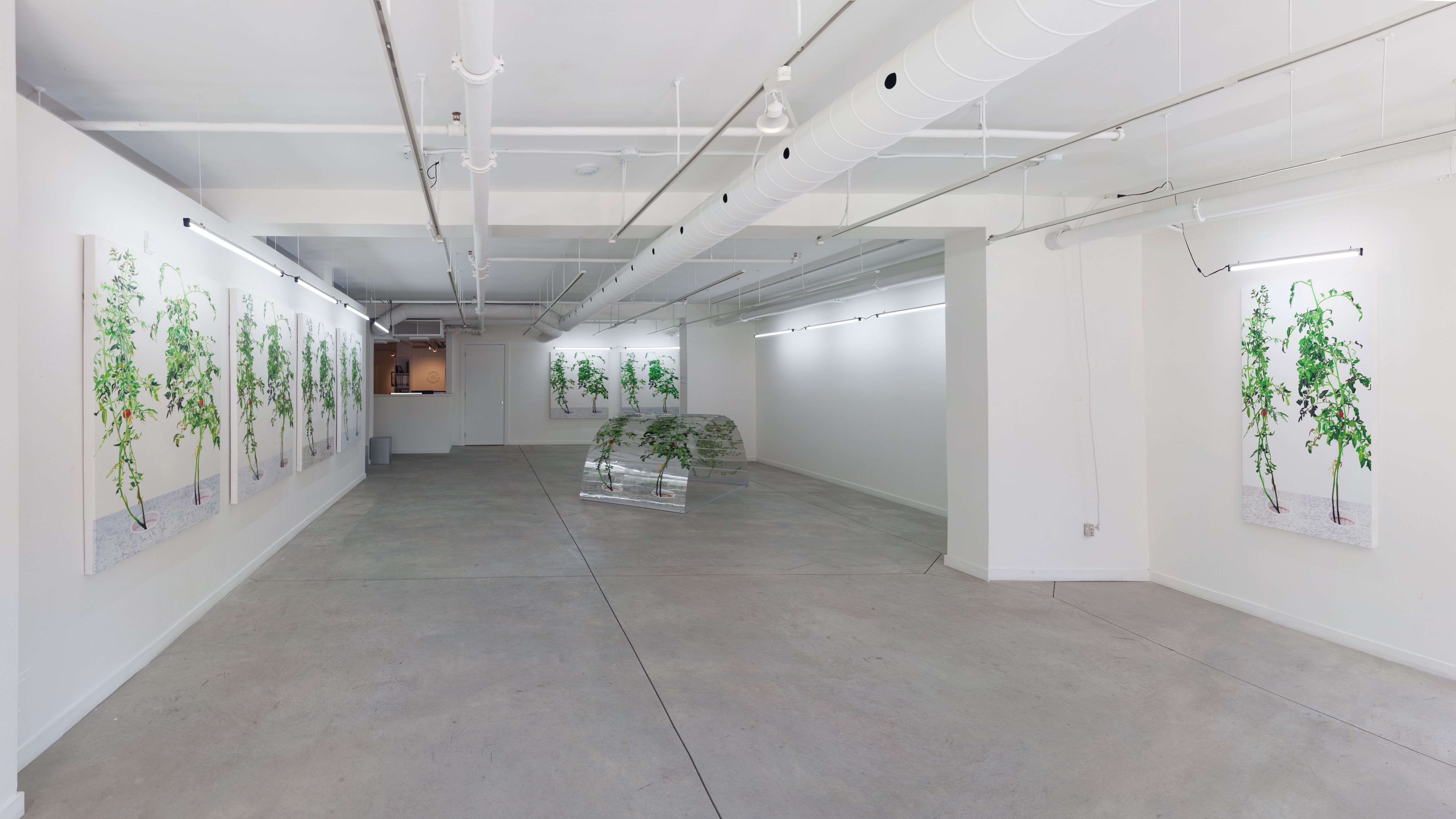 Alex Fischer,  1, 7 and 6000, O'Born Contemporary